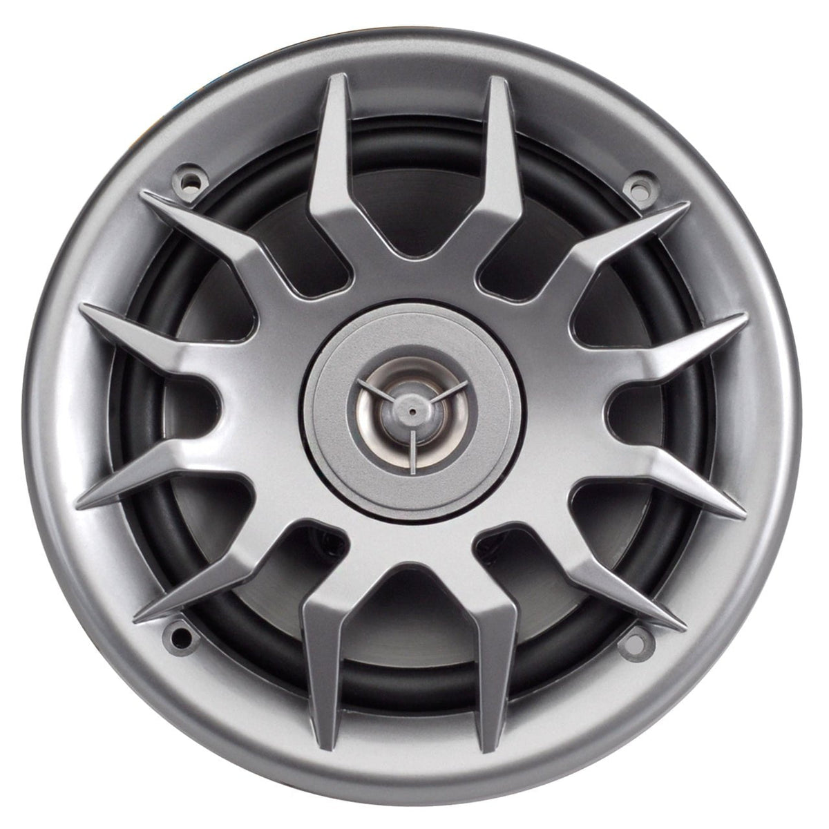AquaVibe | 6.5" Water-Resistant 2-Way Speaker